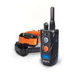 Dogtra 282C 2-DOG