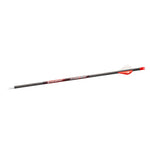 Bloodsport Judgement Arrow 300 Spine 6 Pack