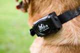 DT Systems H2O 1820 PLUS Remote Trainer