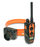 Dogtra Train & Beep System