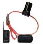 DT Systems BTB-809 Baritone Beeper Collar - Double Beep