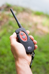 DT Systems H2O 1820 PLUS Remote Trainer