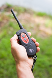 DT Systems H2O 1820 PLUS Remote Trainer